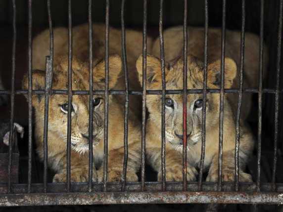 (Photo Credit: sino-us.com)