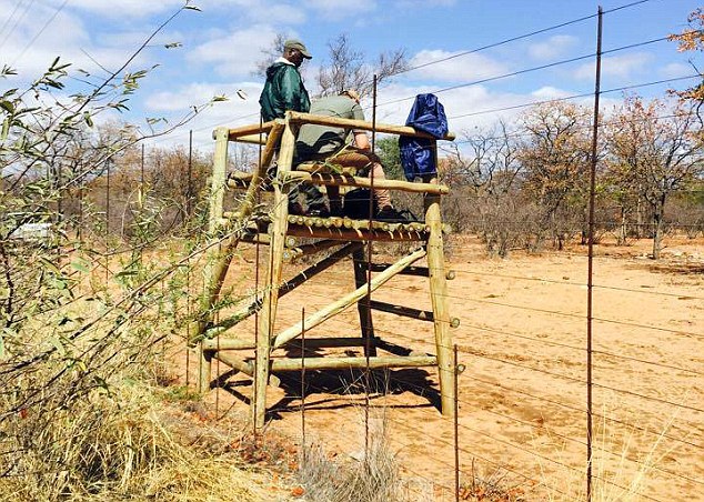 2C0C8B5D00000578-0-image-m-39_1441637190453